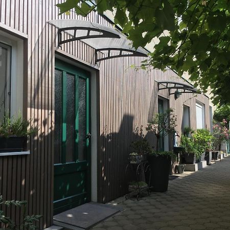 Apartmán Weingut Krikler Weiden am See Exteriér fotografie